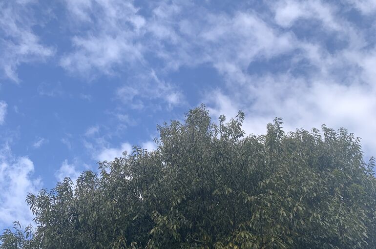 F74DFBAF-CB04-4D1A-AB59-3AB4CCED103C