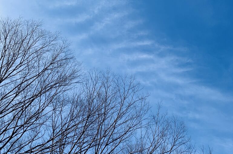 5F8AFBF9-94DA-4FA9-9CC2-2CC98B79E154