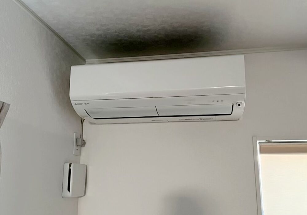 CC05F6FE-21AC-45A9-86D1-2DEEBCC92052