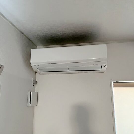 CC05F6FE-21AC-45A9-86D1-2DEEBCC92052
